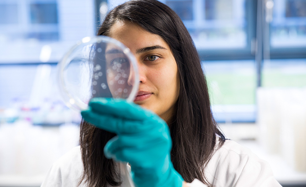 Scientist at the MPI for Chemical Ecology